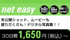 net easy 30日間1,575円（税込）〜